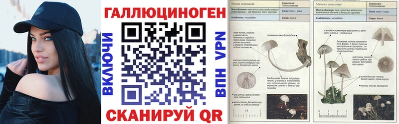 Псилоцибиновые грибы GOLDEN TEACHER  Алагир 